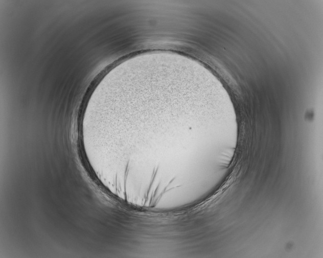 X0000116810980201001151140