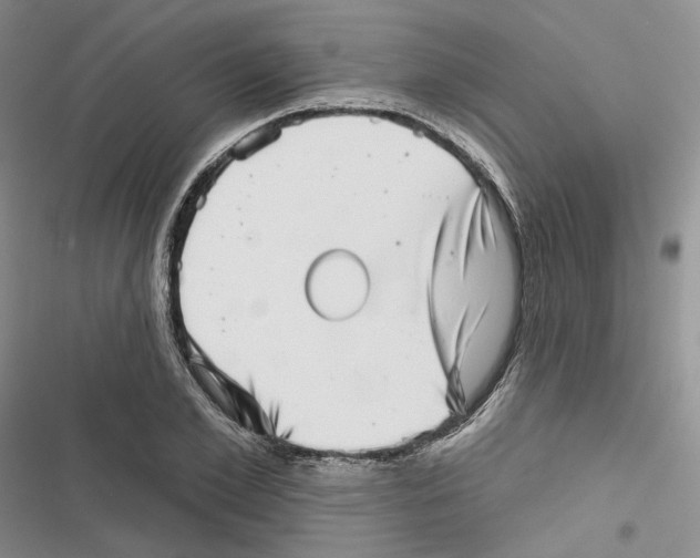 X0000116810981201001151140