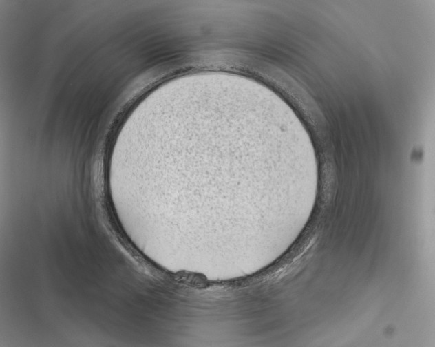 X0000116810982201001151140
