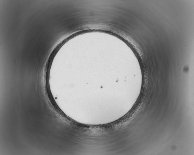 X0000116810983201001151140