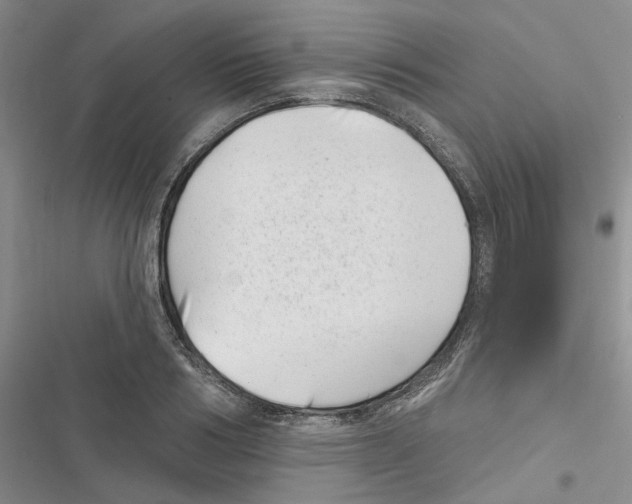 X0000116810986201001151140