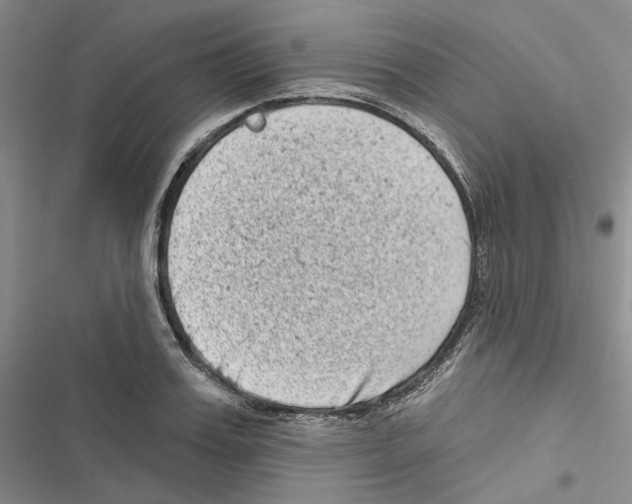 X0000116810987201001151140