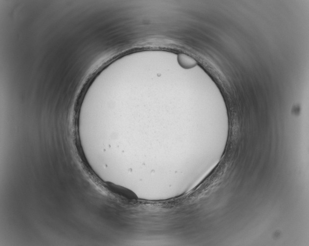 X0000116810990201001151140
