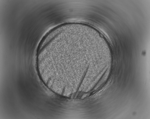 X0000116810992201001151140