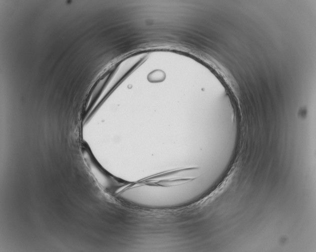 X0000116810993201001151140
