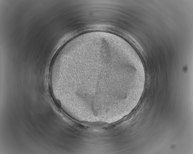 X0000116810994201001151140