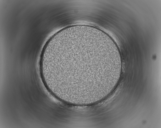 X0000116810995201001151140