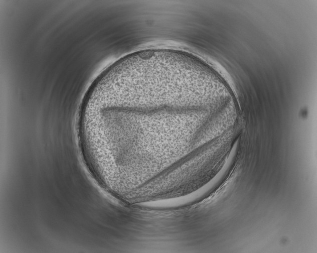 X0000116810997201001151140