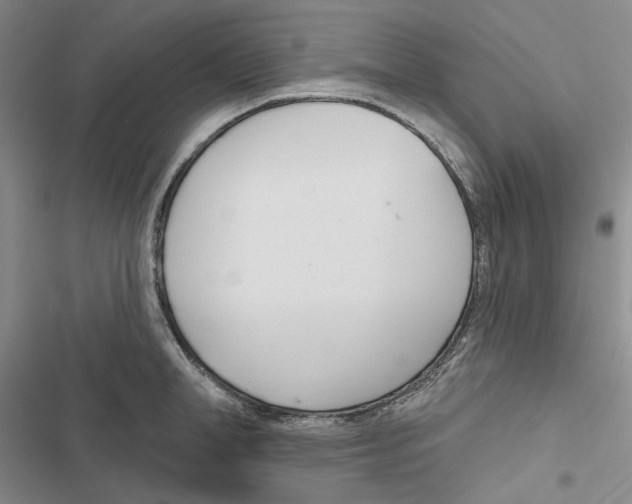 X0000116810998201001151140