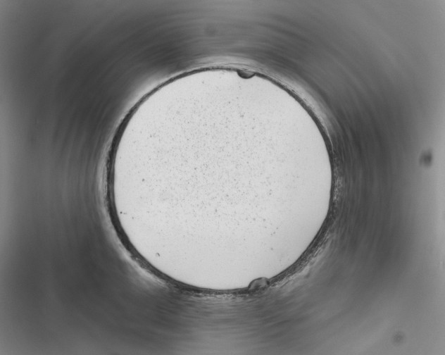 X0000116810999201001151140