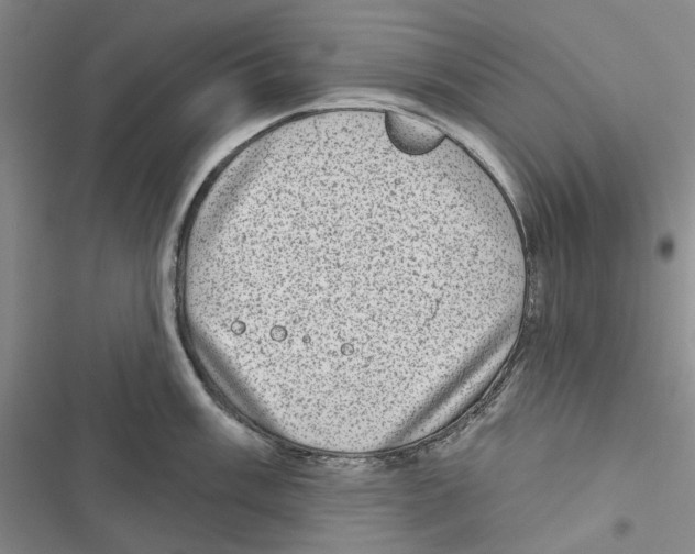 X0000116811003201001151140