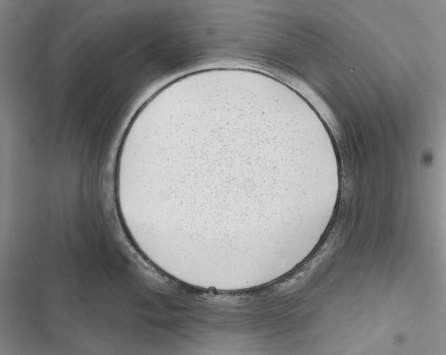 X0000116811004201001151140
