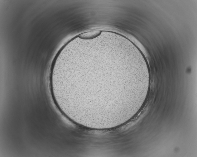 X0000116811005201001151140