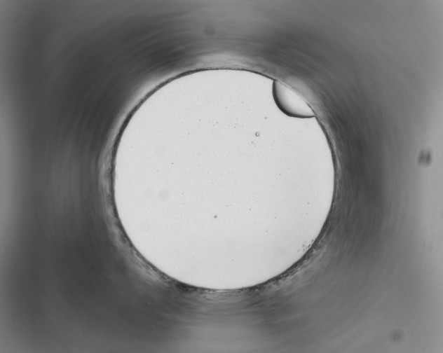 X0000116811008201001151140