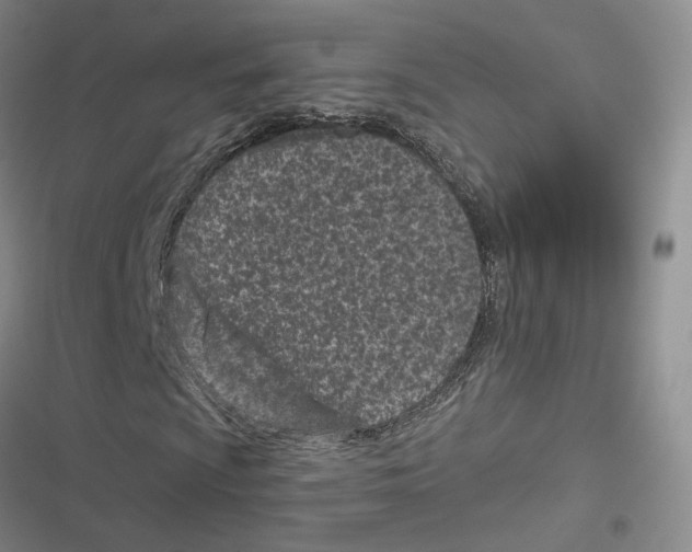 X0000116811009201001151139