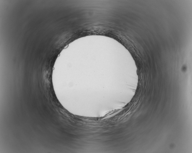 X0000116811010201001151139