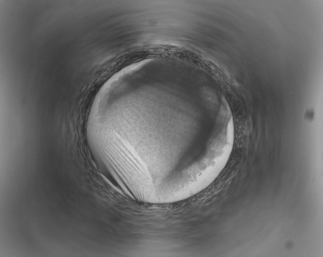 X0000116811013201001151139