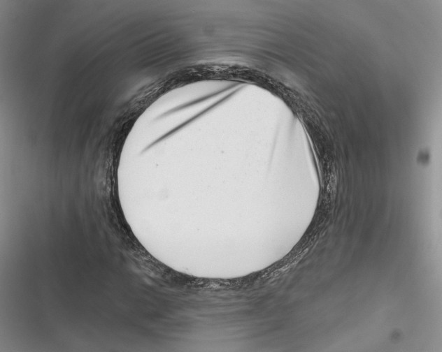 X0000116811014201001151139