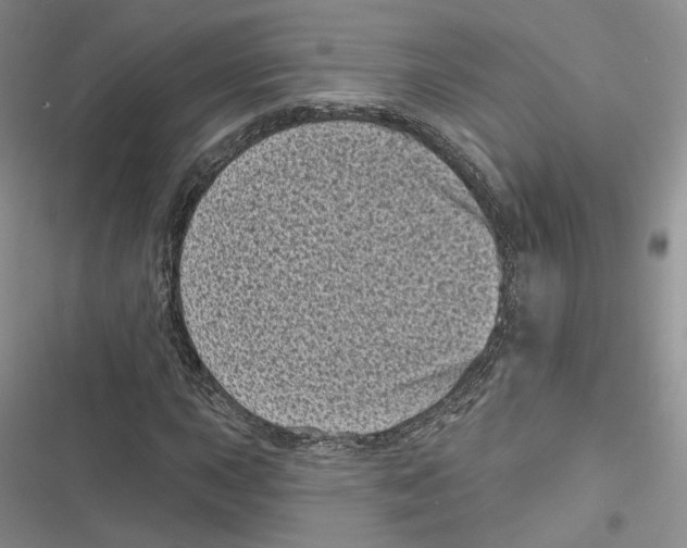 X0000116811015201001151139
