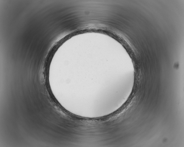 X0000116811018201001151139