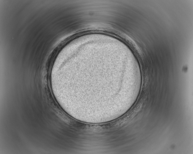 X0000116811019201001151139