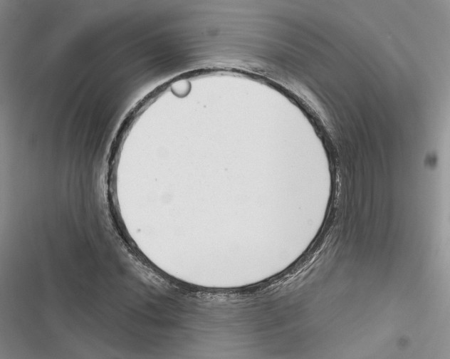 X0000116811020201001151139