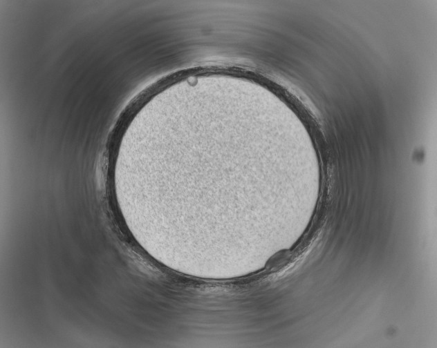 X0000116811021201001151139