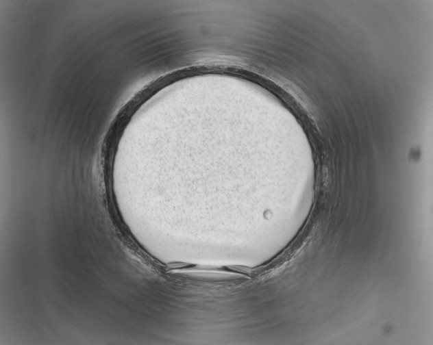 X0000116811022201001151139
