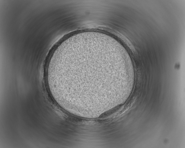 X0000116811023201001151139