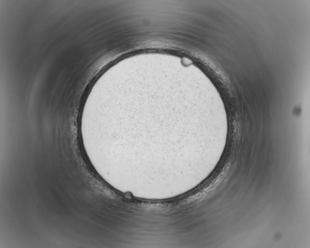 X0000116811025201001151139