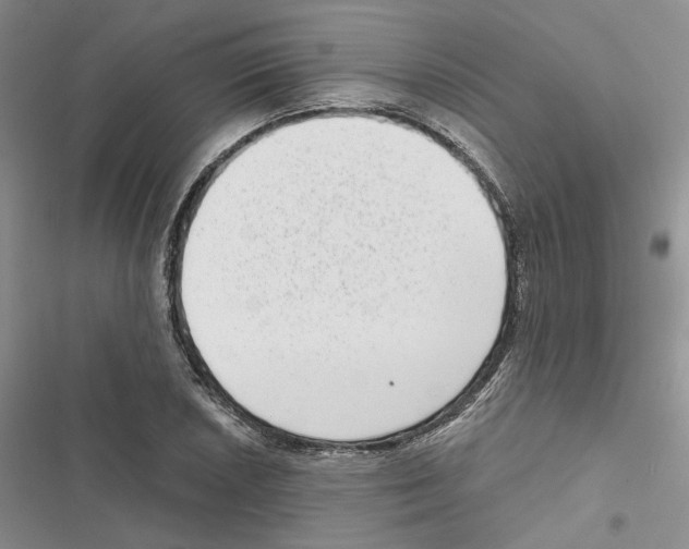 X0000116811026201001151139