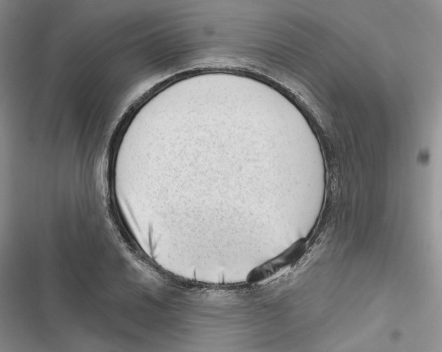 X0000116811030201001151139