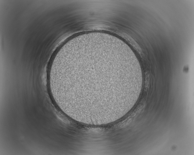 X0000116811031201001151139