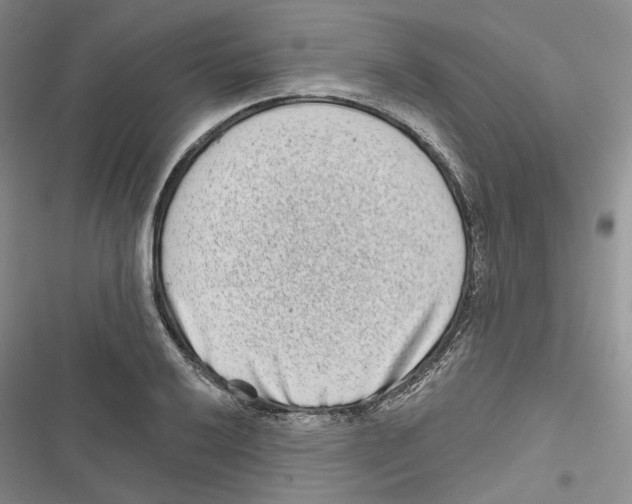 X0000116811032201001151139