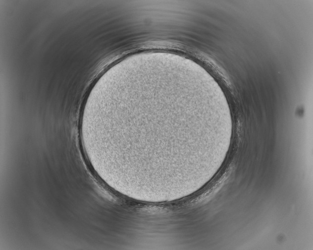X0000116811033201001151139