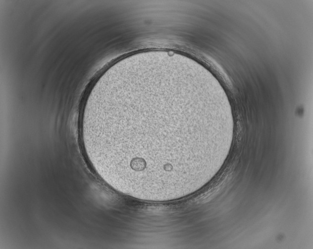 X0000116811035201001151139