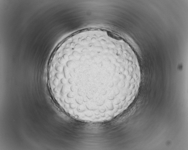 X0000116811036201001151139