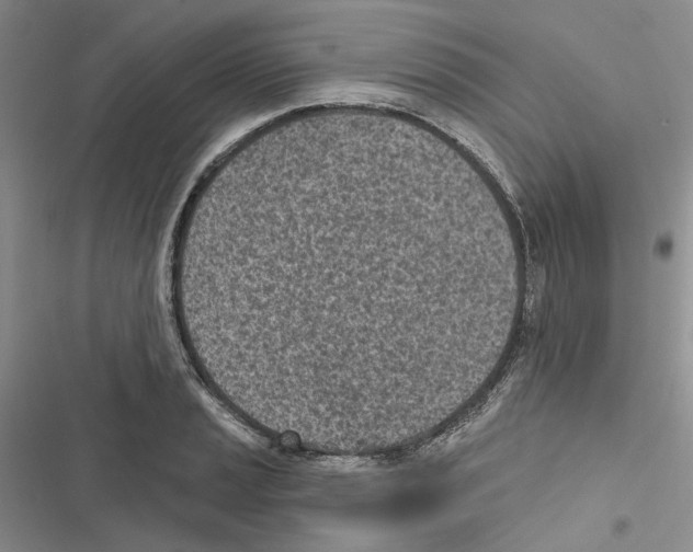 X0000116811037201001151139