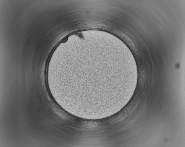 X0000116811039201001151139