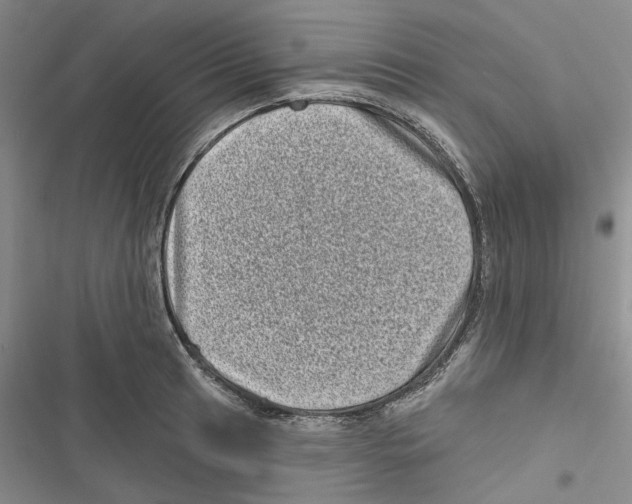 X0000116811041201001151139