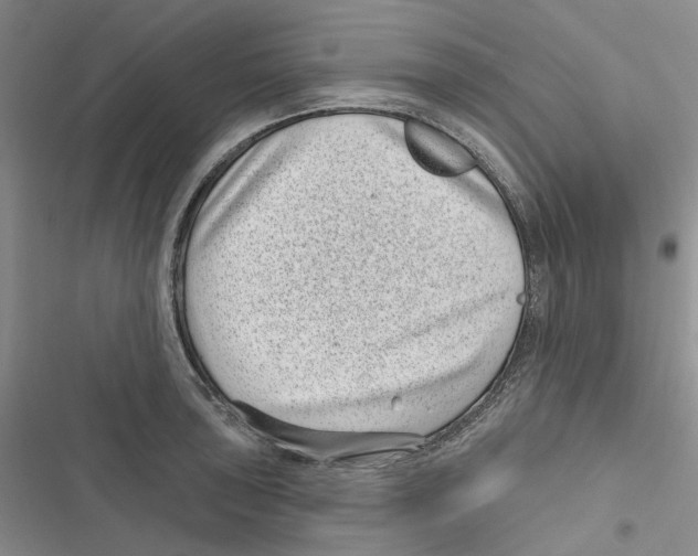 X0000116811043201001151139