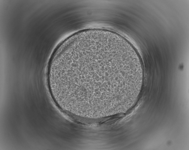 X0000116811045201001151139