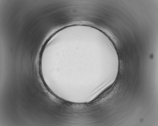 X0000116811046201001151139