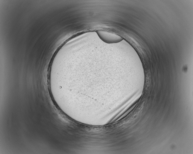 X0000116811047201001151139