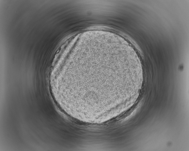 X0000116811049201001151140