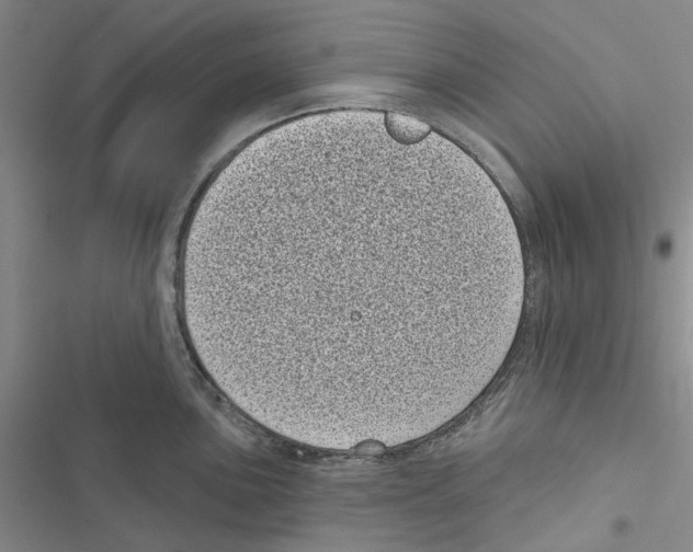 X0000116811051201001151140