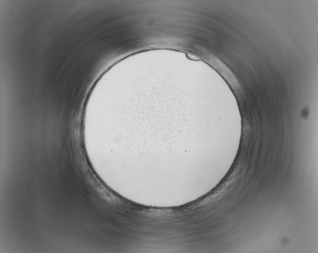 X0000116811052201001151140