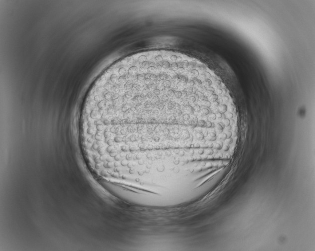 X0000116811054201001151140