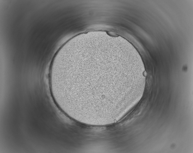 X0000116811055201001151140