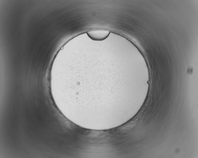 X0000116811056201001151140